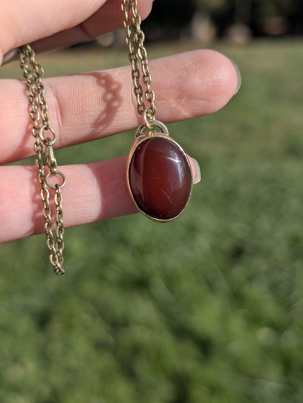 Deep red oval carnelian pendant held in sunlight with its chain against a green outdoor background.
